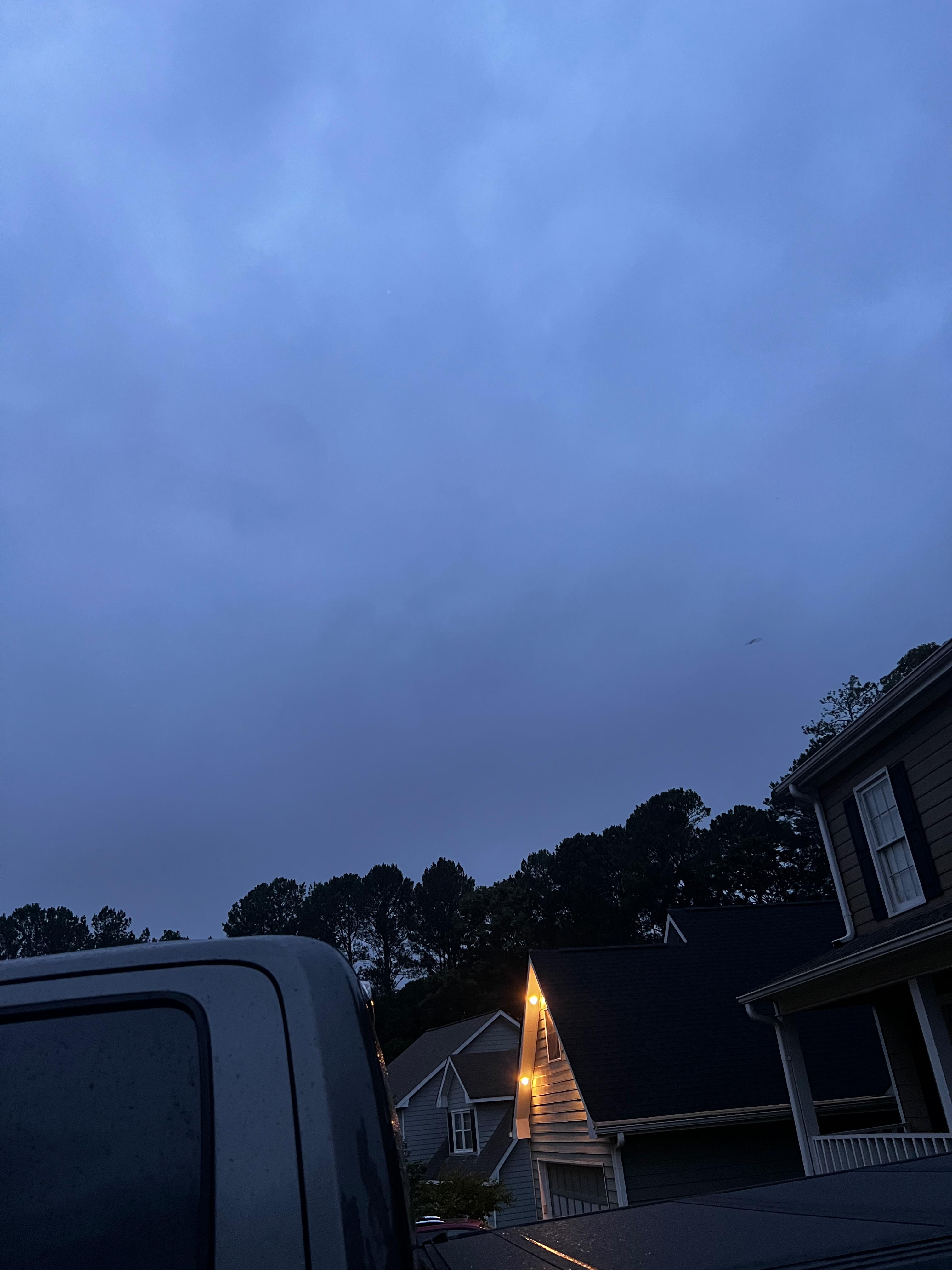 Chimney Swift